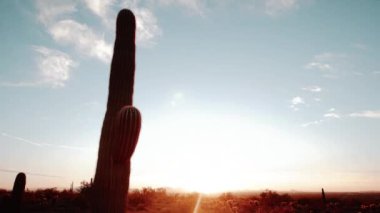 Günbatımı zaman atlamalı Arizona çöl manzara, ABD