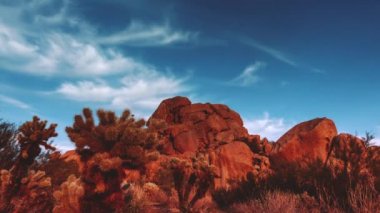 Çöl Joshua Tree Red Rock kayalar zaman atlamalı görüntüleri.