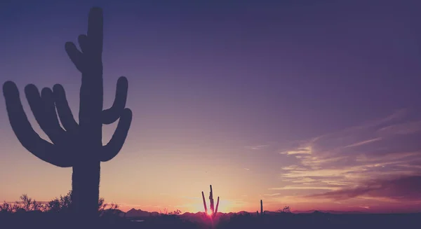 アリゾナ砂漠の夕日風景 — ストック写真