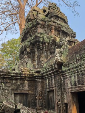 Angkor Kamboçya Antik duvar Tapınaklar arka plan ve egzotik seyahat görüntüleri