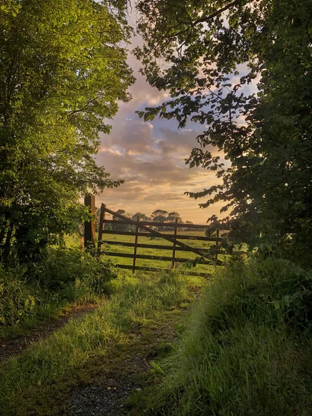 Französisch Landschaft Sonnenuntergang Landschaft Tor Von Bäumen Mit Sonnenuntergang Umgeben — Stockfoto