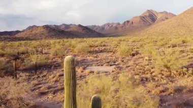 Arizona çölü eteklerinde insansız hava aracı görüntüleri, yakınlaştırma kulesi hareketleri. Scottsdale, Az, McDowell Dağları, ABD.