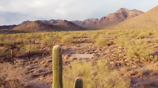 亚利桑那州的沙漠山脚无人驾驶镜头 放大娃娃移动 Scottsdale Mcdowell Mountains Usa — 图库视频影像