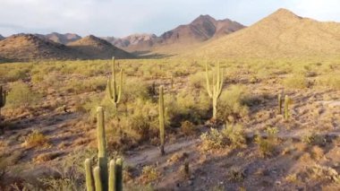Arizona çöl etekleri insansız hava aracı görüntüleri, Scottsdale, Az, McDowell Dağları, ABD.