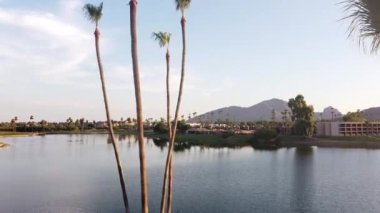 Deve Sırtı Dağı, Scottsdale Palmiye Kadını 'na doğru itme hareketi görüntülendi