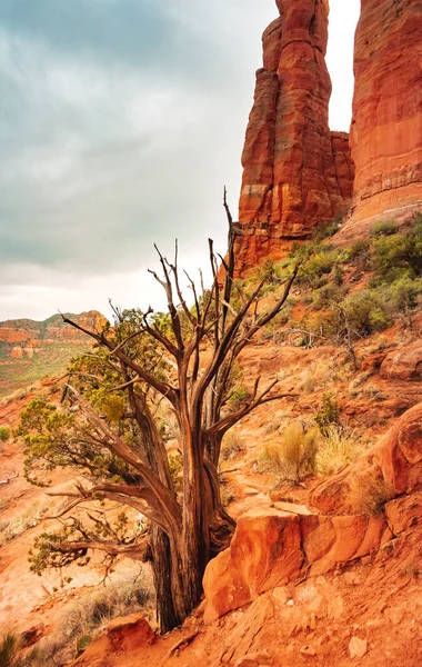 Cathedral Rock Sedona Arizona Usa — Stockfoto