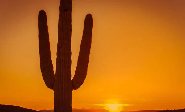 Goldener Sonnenuntergang Über Der Kalifornischen Wüstengrenze Von Arizona — Stockfoto