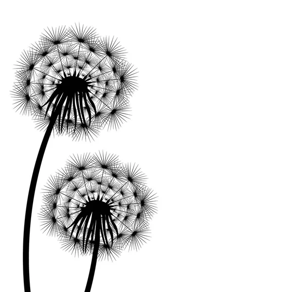 Silhuetten av en blommande maskros — Stock vektor
