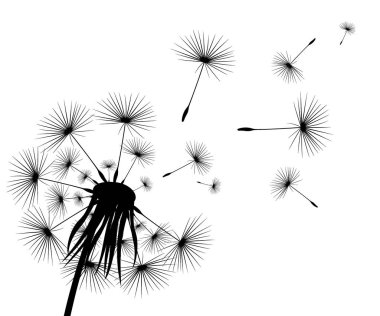 Çiçekli karahindiba silüeti