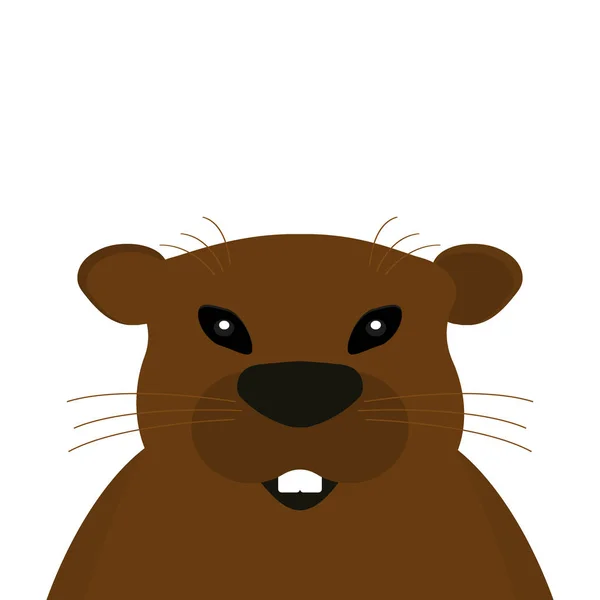 Groundhog on a white background. — Stock Vector