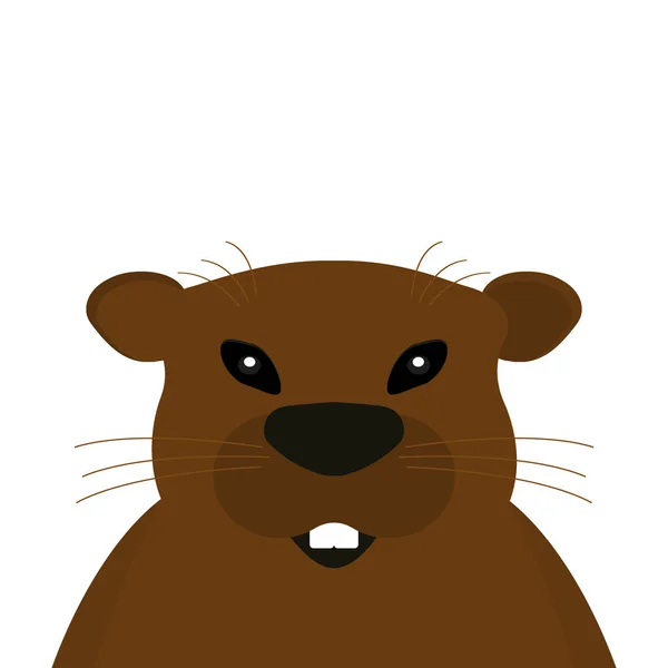 Groundhog op een witte achtergrond. — Stockvector