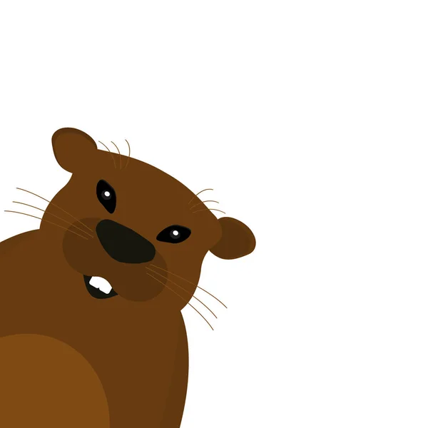 Marmotte sur fond blanc . — Image vectorielle