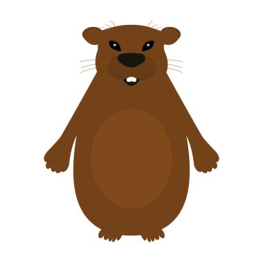 Beyaz bir arka plan üzerinde dağ sıçanı.