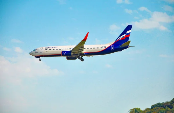 Soçi, Adler, Rusya - 8 Ekim 2018- Uçak Boeing 737-800 Rus havayolları Aeroflot Başkan Yardımcısı-Bmd