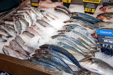 Taze soğutulmuş balık ticareti.