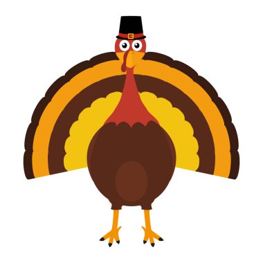 Şükran gününde Türkiye'Pilgrimin