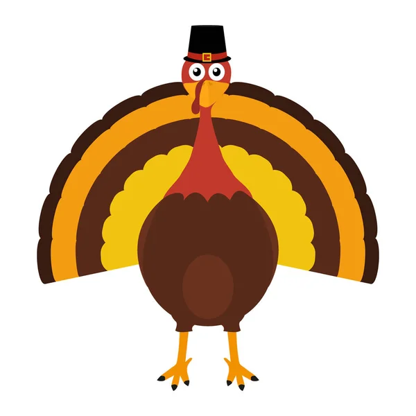 Turkije Pilgrimin op Thanksgiving Day — Stockvector