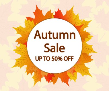 Beyaz arkaplanda sonbahar akçaağaç yaprağı