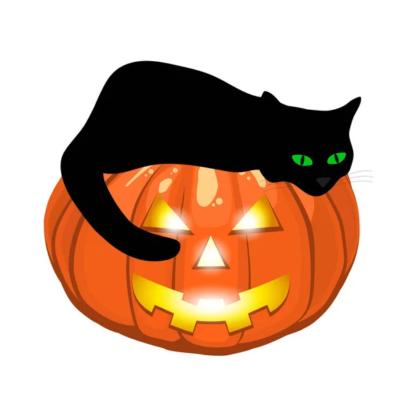 Gato negro se encuentra en un malvado calabaza jack linterna para halloween — Vector de stock