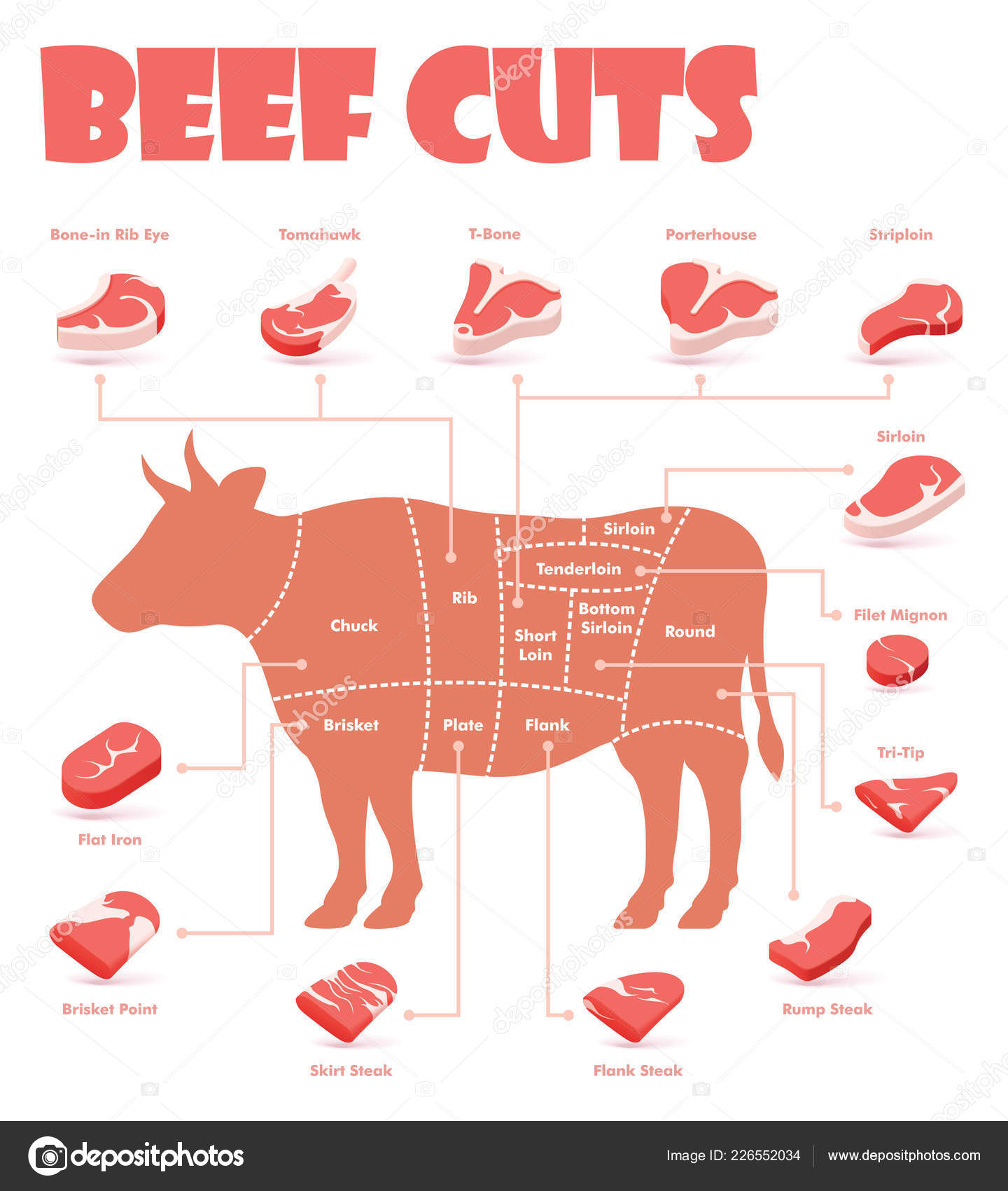 Vector Beef Cuts Chart Stock Vector C Tele52