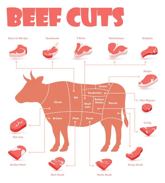 Vector beef cuts chart — Stock Vector