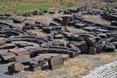 Ermenistan Dünya Mirası alanı 'nın bir parçası olan Zvartnots arkeolojik alanı, ön planda bir ağaçla