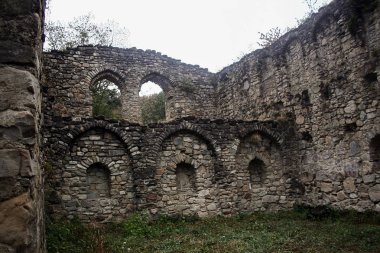 Antik Ikalto Manastırı: Kakheti, Georgia'Ikalto akademide kalıntıları