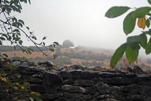 Árboles Viejo Muro Piedra Con Vistas Bosque Las Colinas Clima —  Fotos de Stock