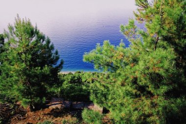 Güneşli bir günde deniz seviyesinde 330 metre yükseklikte Abhazya kıyılarından Akdeniz çamları ve Karadeniz'in en iyi görünümü
