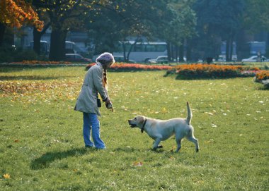 Güneşli bir günde sonbahar parkında köpeğiyle oynayan kız