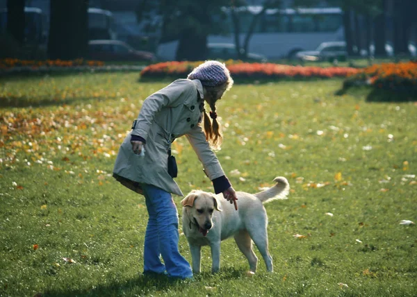 Девочка Тренирует Свою Собаку Осеннем Парке Солнечный День — стоковое фото