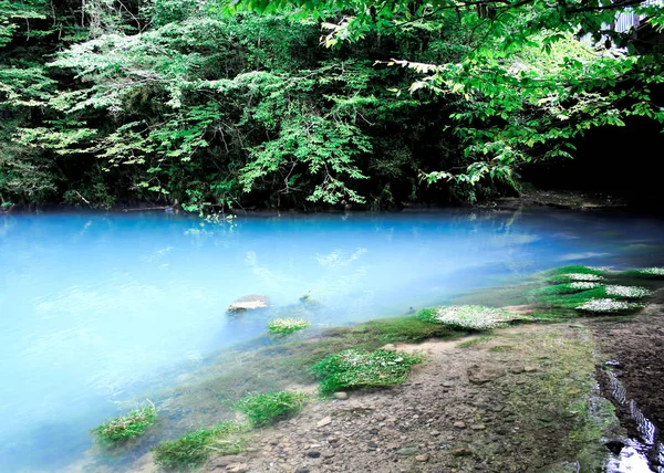 Modré Jezero Abcházii Obklopené Horskými Houštami Klidném Jitřním — Stock fotografie