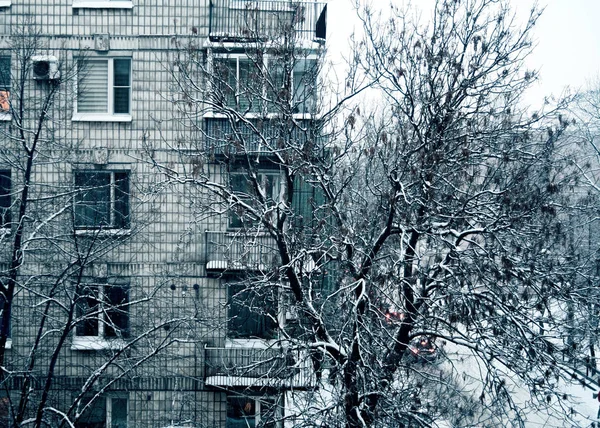 Bulutlu havalarda karla kaplı cadde ve bina manzarası