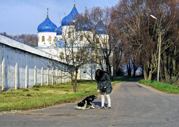 Niña Alimentando Perro Sin Hogar Carretera Cerca Catedral Del Monasterio — Foto de Stock