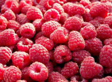 Arka plan olarak kırmızı ahududu Olgun meyveleri