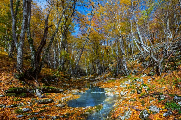 Small River Autumn Mountain Canyon — Stock Photo, Image