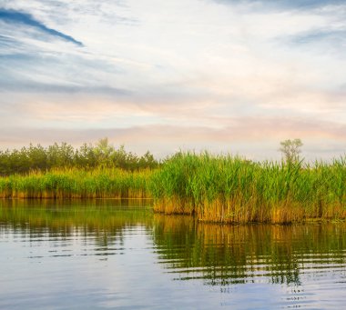 sessiz yaz göl kıyısında akşam