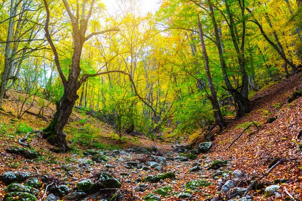 Otoño Seco Montaña Cañón Paisaje — Foto de Stock