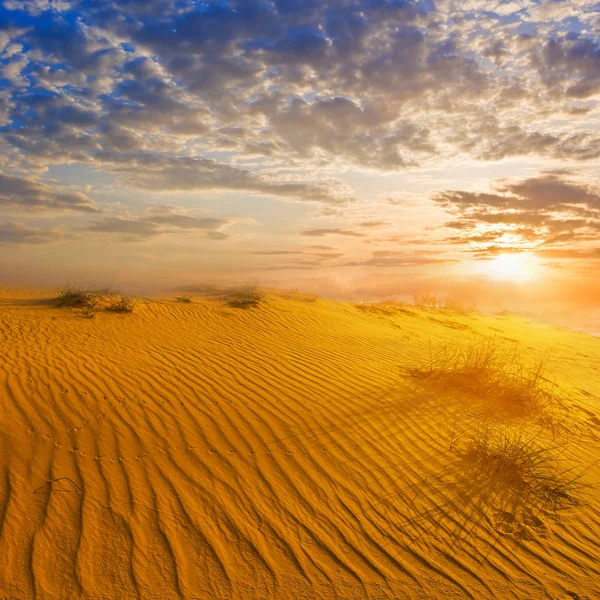 夕阳下炎热的夏日沙漠 — 图库照片