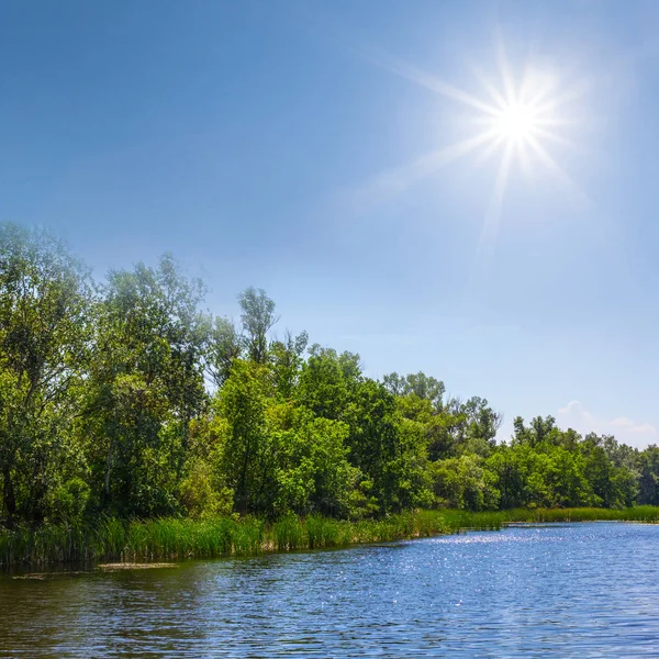 Красивая Летняя Река Искрящимся Солнцем — стоковое фото
