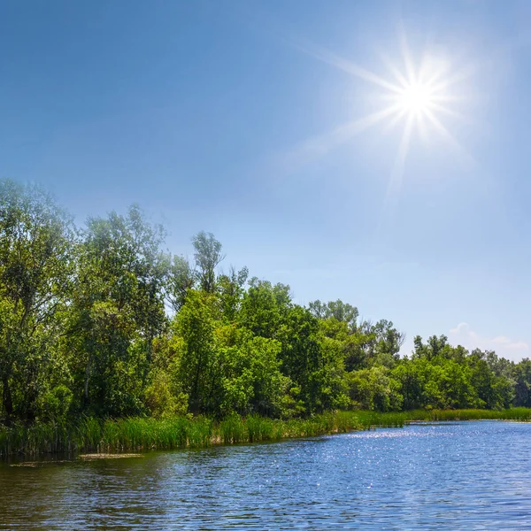 Hermoso Río Verano Bajo Sol Brillante — Foto de Stock