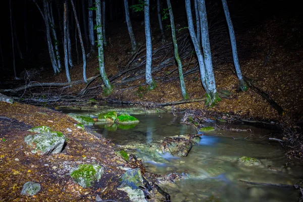 Pequeño Río Corriendo Bosque Noche — Foto de Stock