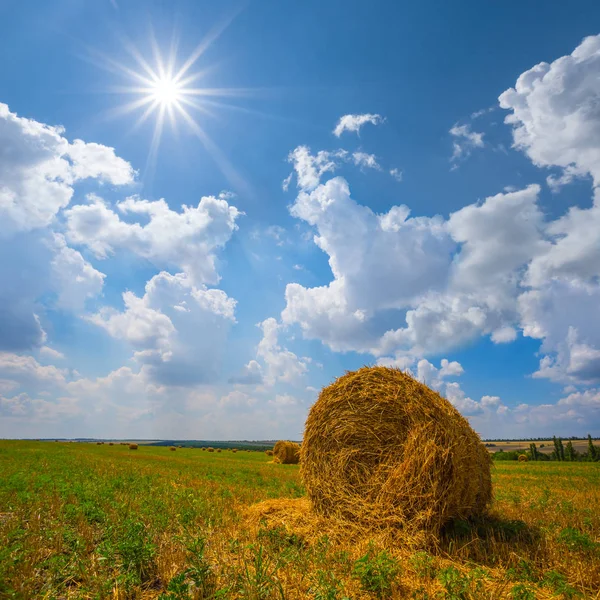 在阳光明媚的日子里在田野上干草堆 — 图库照片