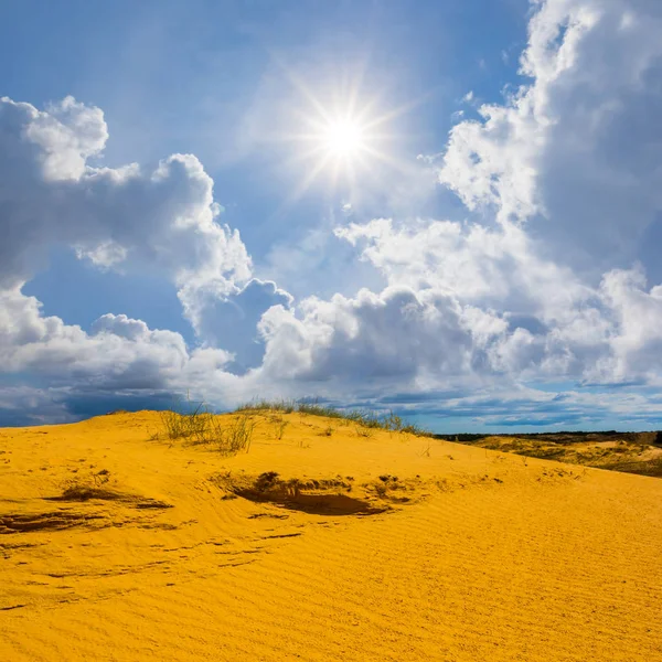 Sot Verão Deserto Arenoso Sob Sol Cintilante — Fotografia de Stock