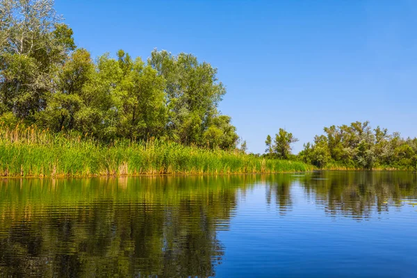 Тихий Малий Літній Річковий Пейзаж — стокове фото