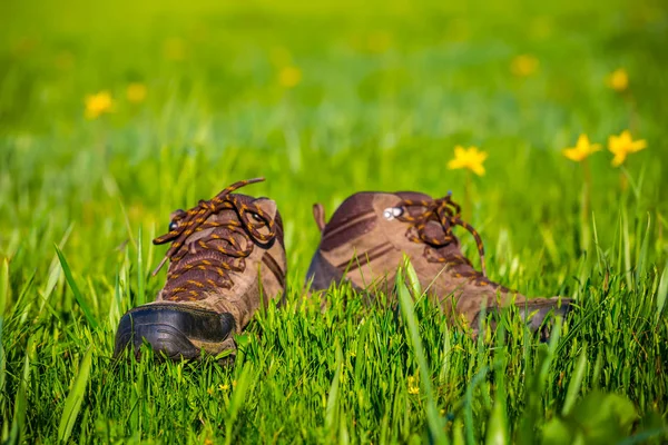 Primer Plano Viejas Botas Turísticas Entre Campo Verde Con Flores —  Fotos de Stock