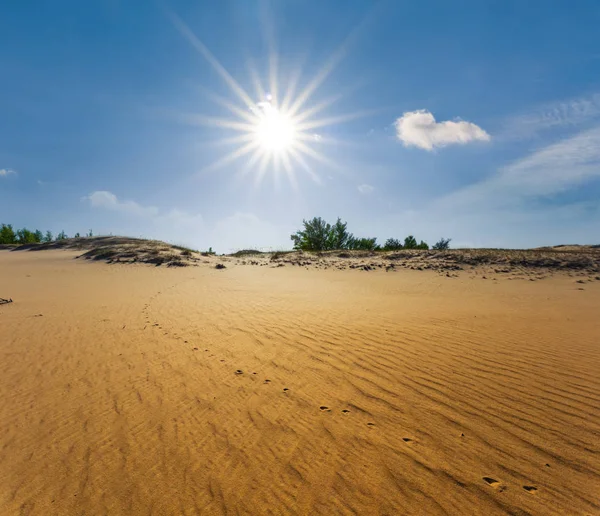 Verano Caliente Arena Desierto Paisaje Bajo Sol Brillante — Foto de Stock