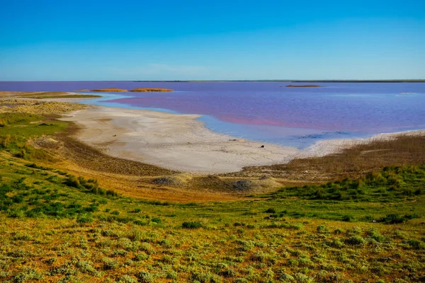 Sivash Meeresbucht Krim Ukraine — Stockfoto