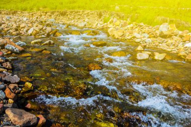 bir dağ kanyonda acele Nehri
