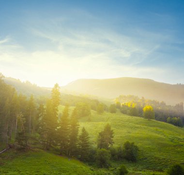 sabah erken, sessiz yeşil dağ Vadisi